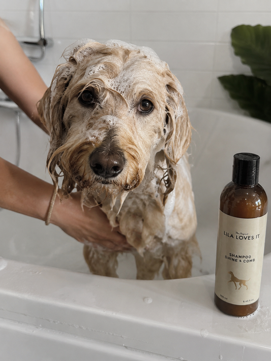 Lila Loves It - Shampoo Shine & Comb