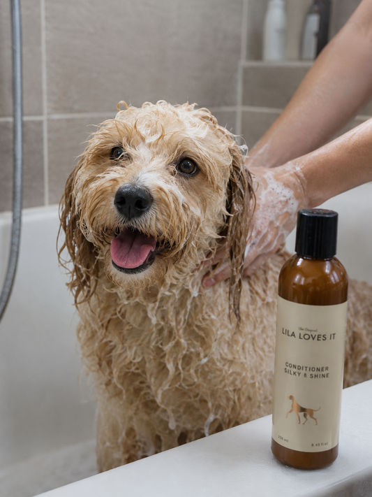 Lila Loves it - Conditioner Silky & Shine