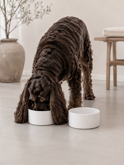 Nordog – Keramische voerbak voor honden – Wit
