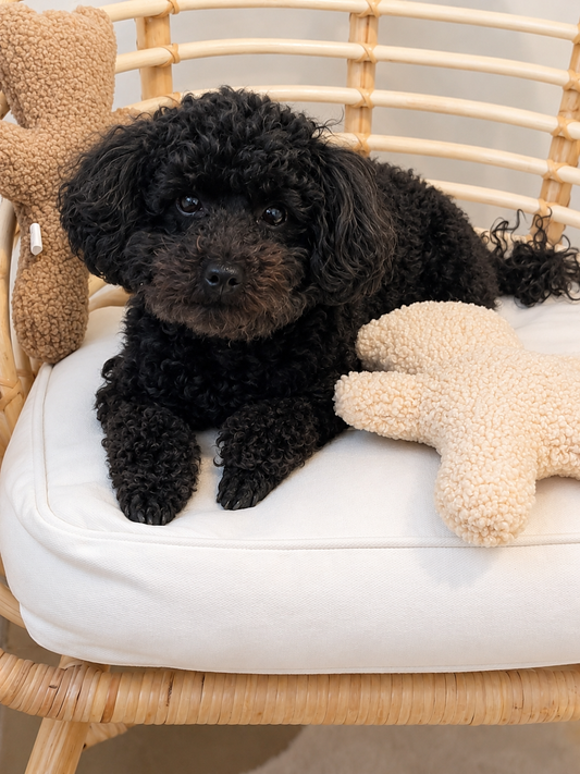 Hond speelt met een zachte champagnekleurige teddybeer van Judith & Florent