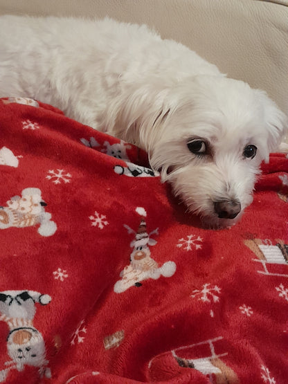 J&F Rudolph – Kerst fleece dekentje (70 cm x 95 cm)