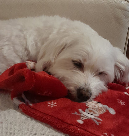 J&F Rudolph – Kerst fleece dekentje (70 cm x 95 cm)