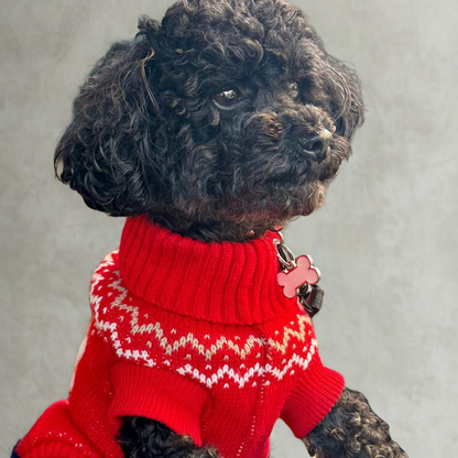 Rudi hondenpullover – Warme trui voor kleine en middelgrote honden