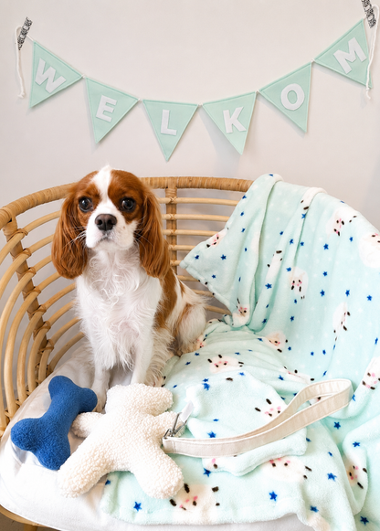 Puppypakket
