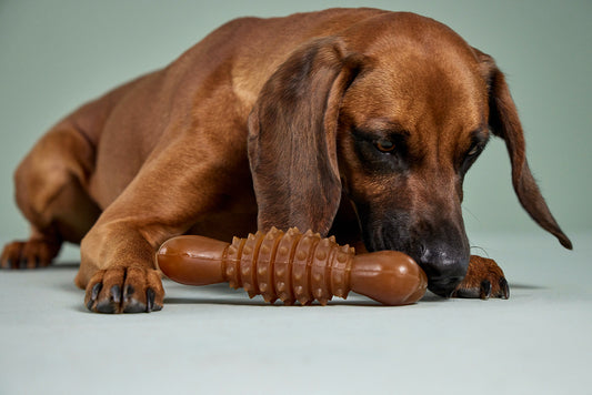 Pure Nature Dental Heart-Bone – Natuurlijk kauwspeeltje voor grote honden