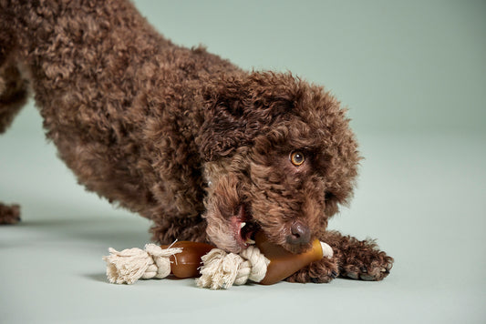 Pure Nature Rope Toy Bone – Natuurlijk kauw- en trekspeeltje