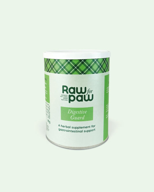 Supplement Digestive Guard– Ondersteuning gezonde spijsvertering