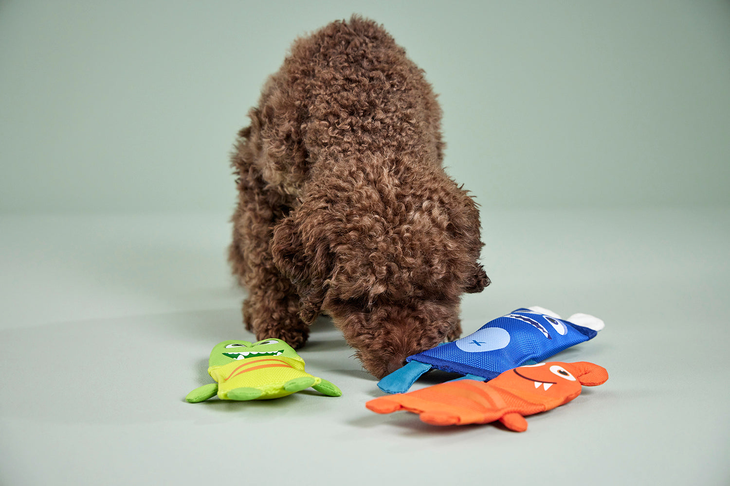 Wolters Funny Dummy drijvend hondenspeeltje voor waterpret