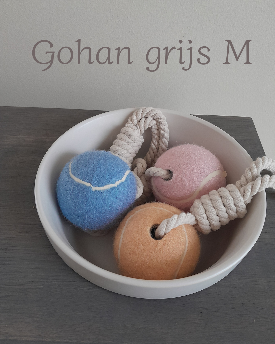 Gohan dubbele voerbak met keramische bakjes voor honden