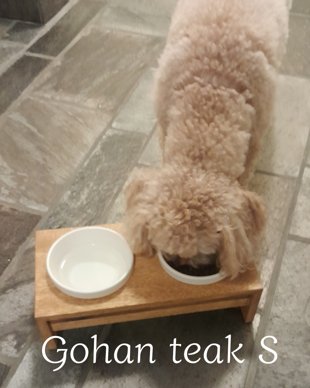 Gohan eetstation voor honden met dubbele keramische bakjes