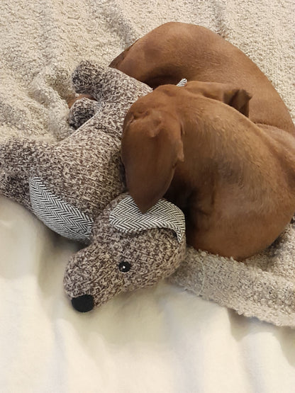 Hond knuffelt met de Nordog teckel knuffel