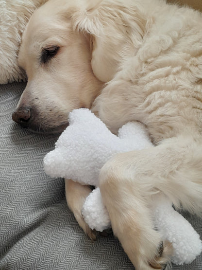 Hond knuffelt met een zachte teddybeer van Judith & Florent