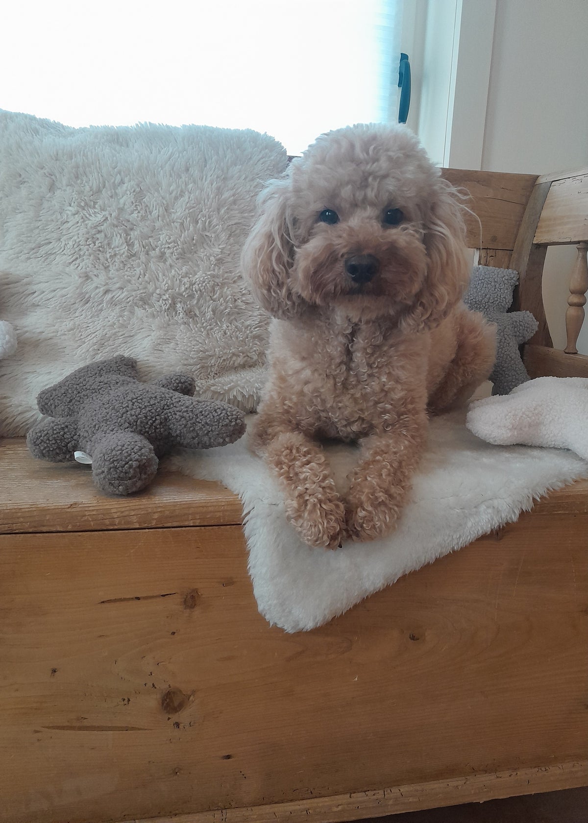 J&F – Knuffelbeer Teddy – Grijs