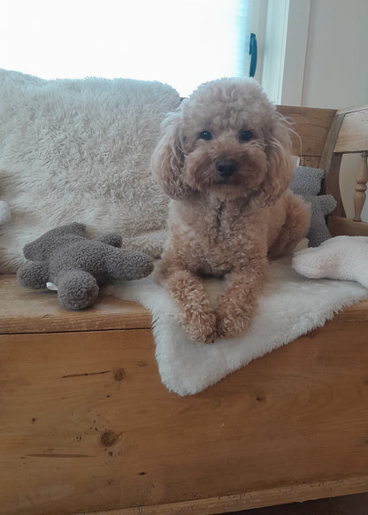 J&F – Knuffelbeer Teddy – Grijs
