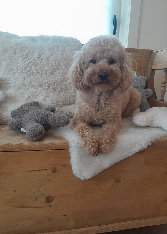 J&F – Knuffelbeer Teddy – Grijs