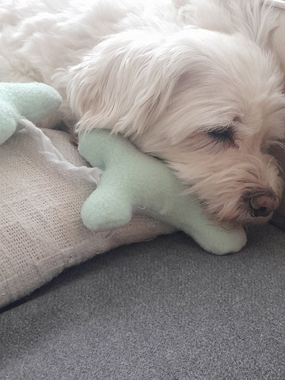 Hond slaapt met zijn hoofd op de mintkleurige knuffelketting van Judith & Florent