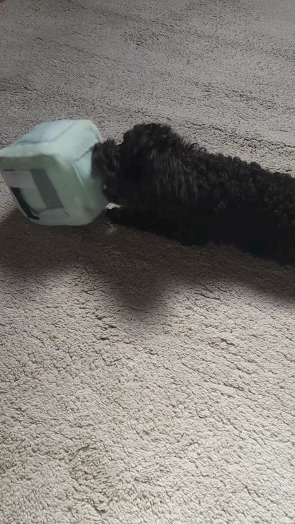 intelligentiespel voor honden