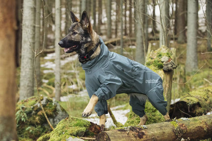 Rukka Pets - Waterdichte overall Protect