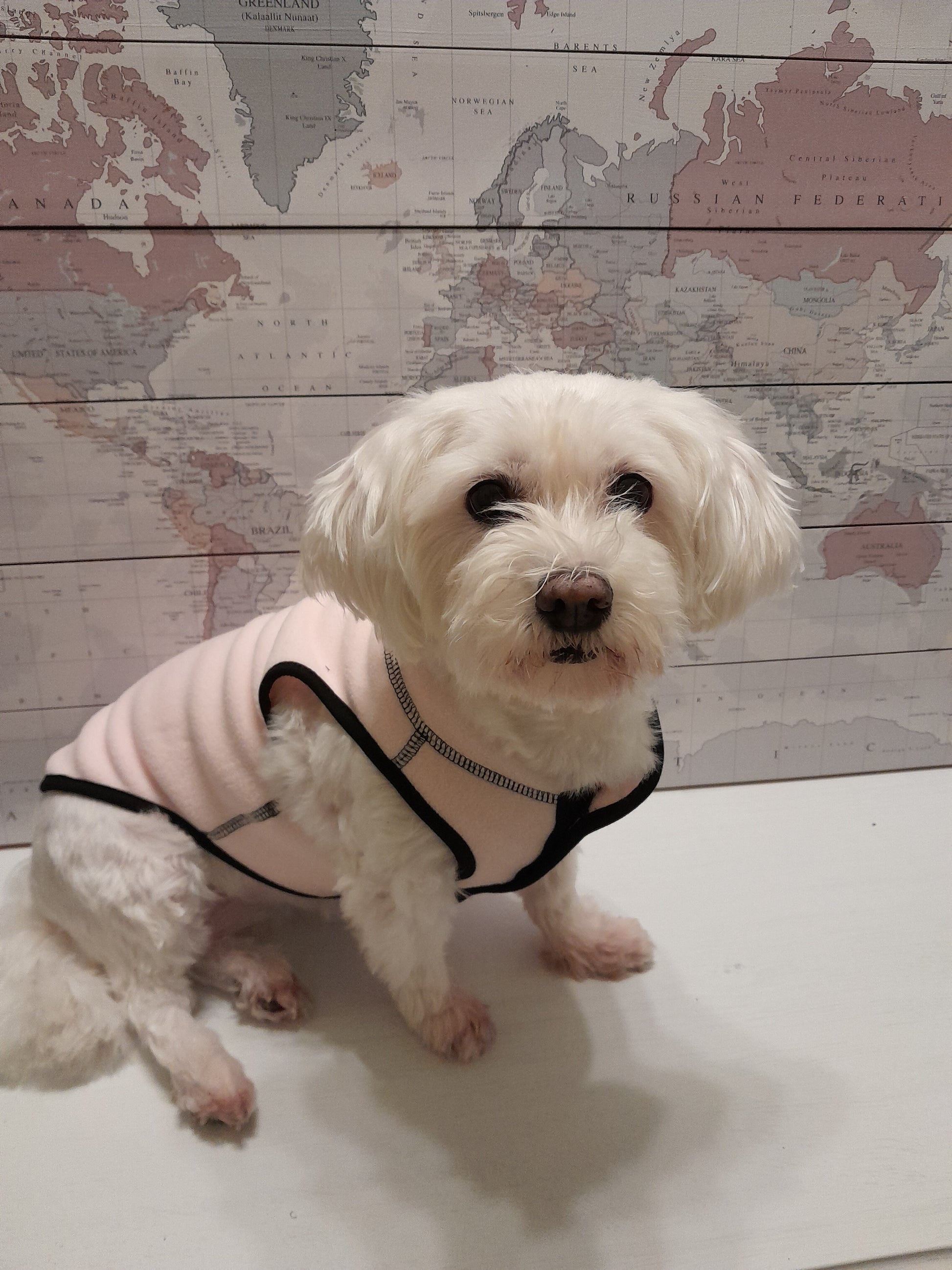 fleece jas Milk & Pepper Mina