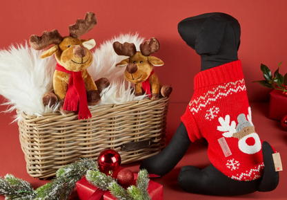 Rudi hondenpullover – Warme trui voor kleine en middelgrote honden